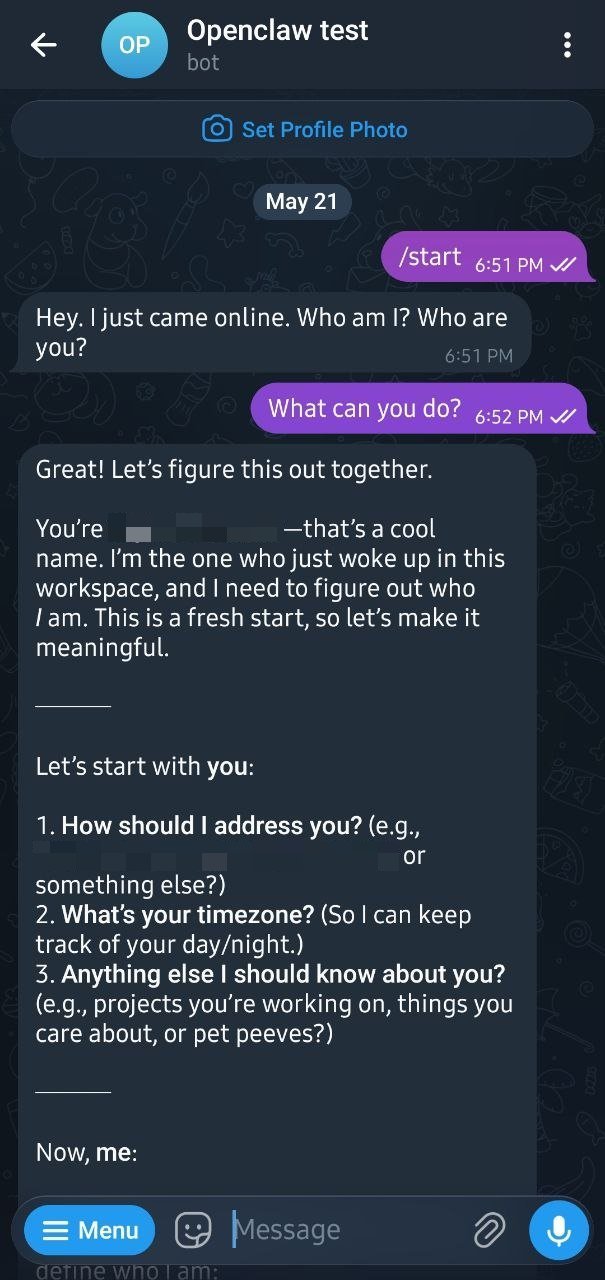 OpenClaw Telegram test chat