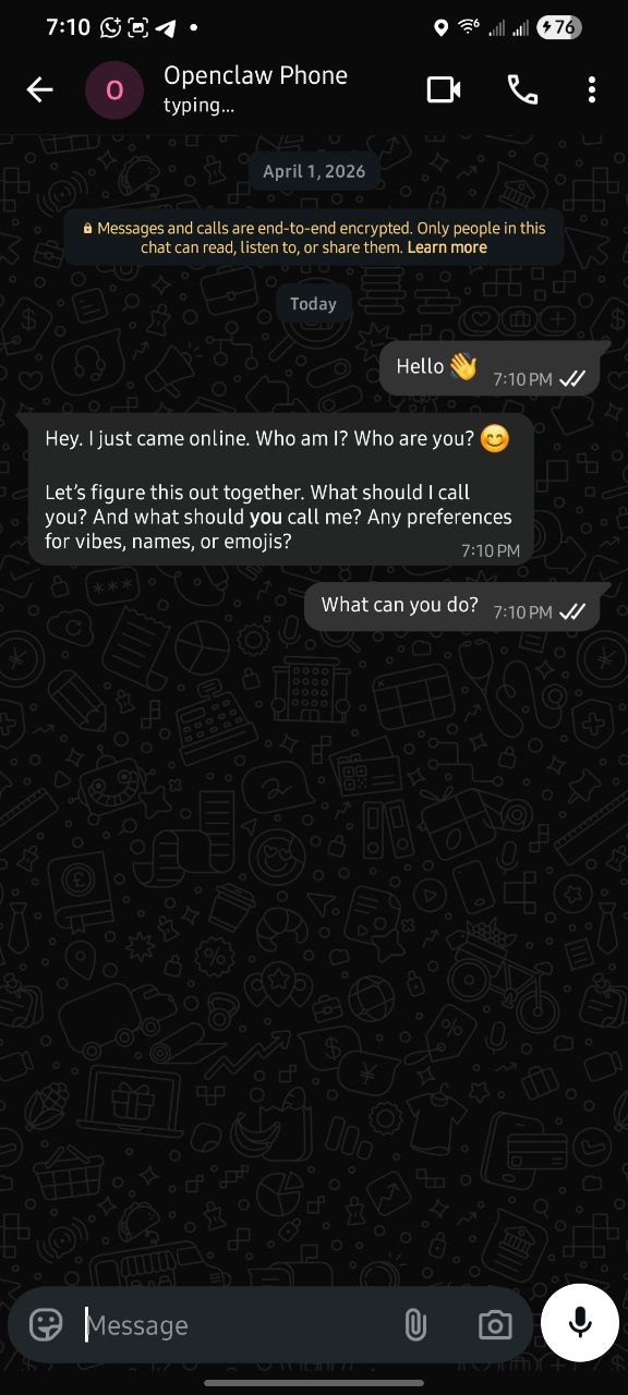 WhatsApp OpenClaw test chat