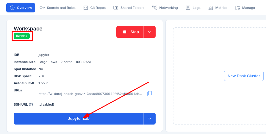 Open JupyterLab