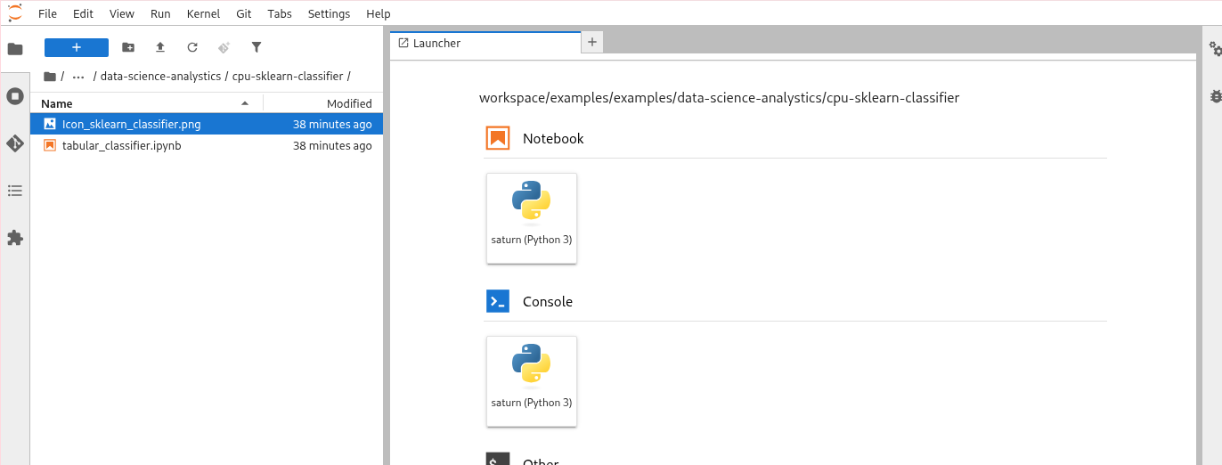 JupyterLab Interface
